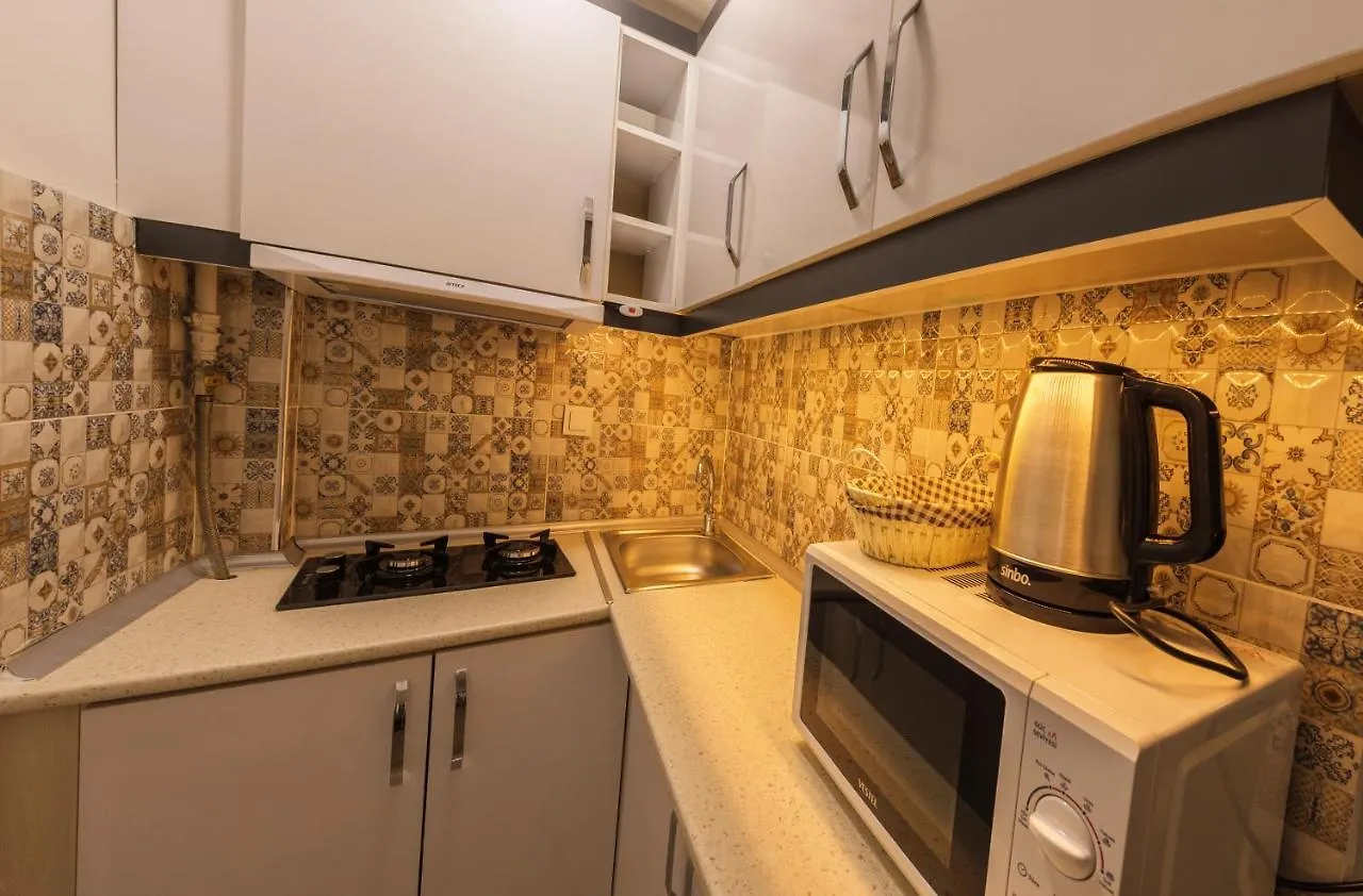 Apartment Duru Istanbul Apart Turkey